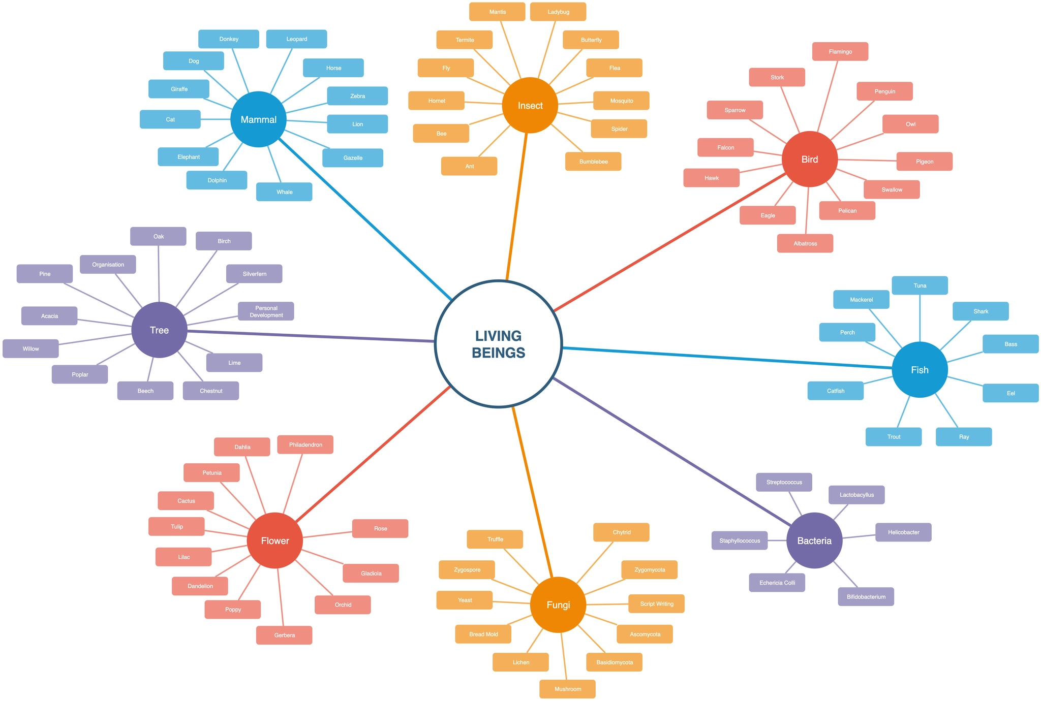 Untitled Diagram-1775547637510