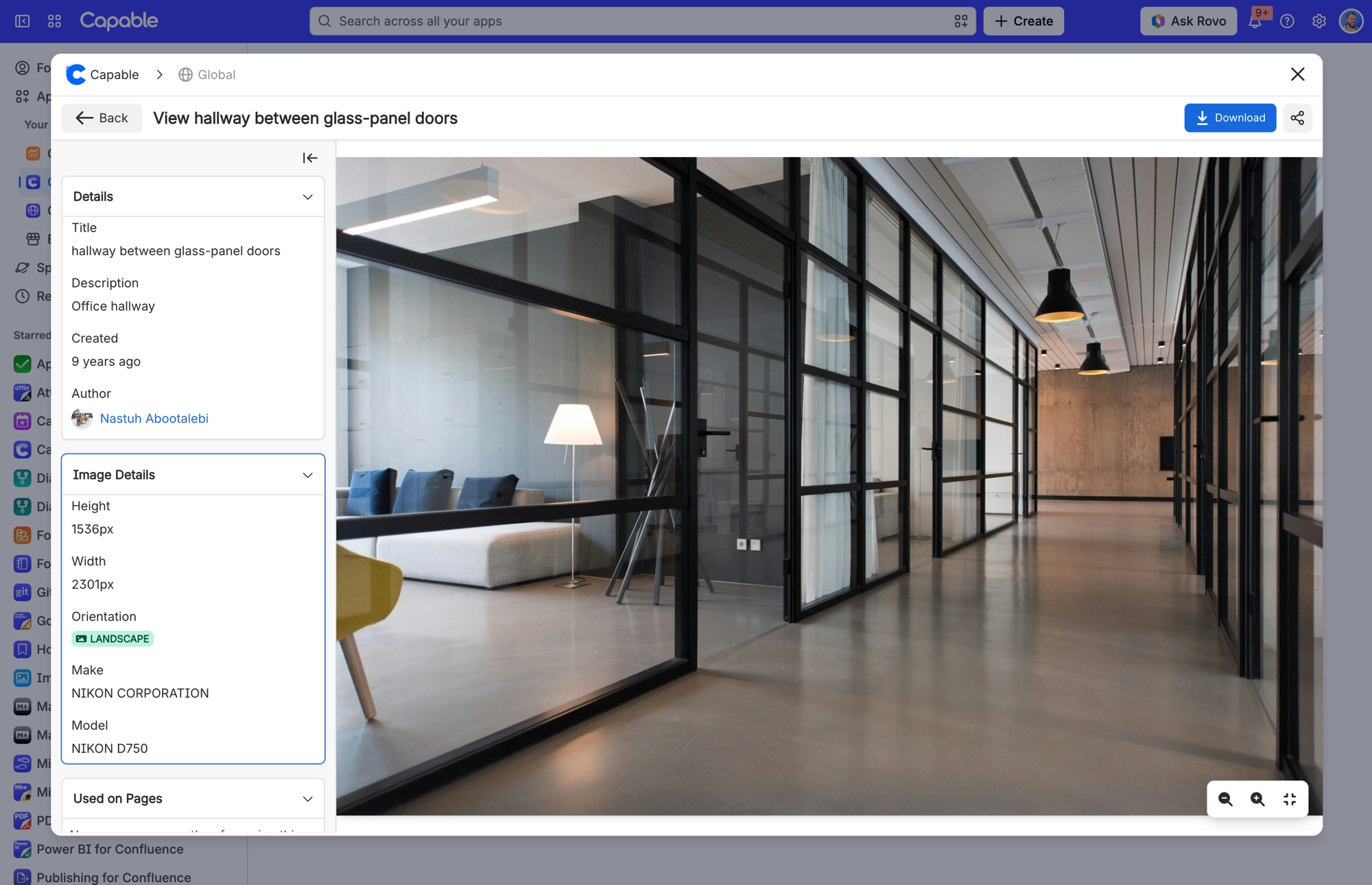 Stock image detail view with a Details panel on the left, image information below it and a blue Download button at the top right